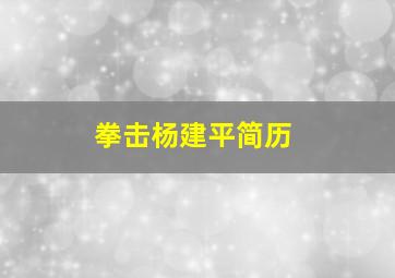 拳击杨建平简历