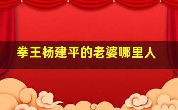 拳王杨建平的老婆哪里人