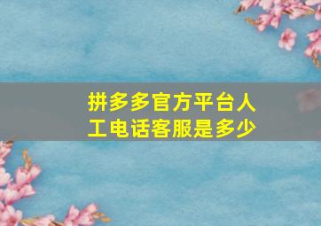 拼多多官方平台人工电话客服是多少