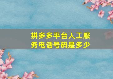 拼多多平台人工服务电话号码是多少