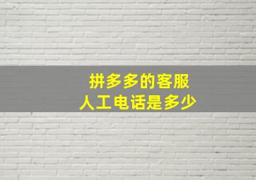 拼多多的客服人工电话是多少