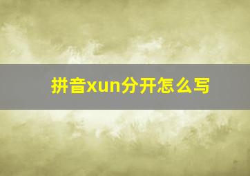 拼音xun分开怎么写