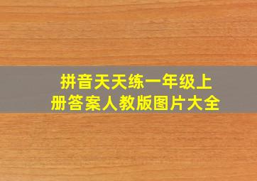 拼音天天练一年级上册答案人教版图片大全