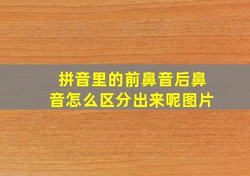 拼音里的前鼻音后鼻音怎么区分出来呢图片