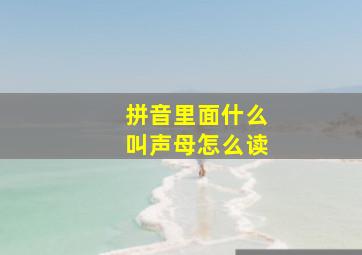 拼音里面什么叫声母怎么读