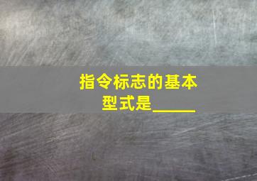 指令标志的基本型式是_____