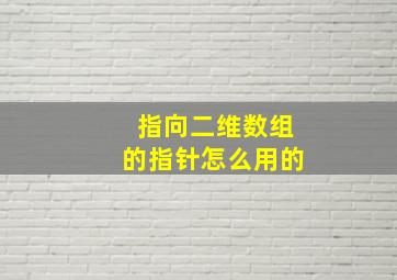 指向二维数组的指针怎么用的