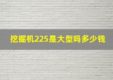 挖掘机225是大型吗多少钱