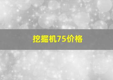 挖掘机75价格