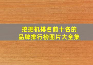 挖掘机排名前十名的品牌排行榜图片大全集