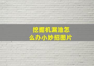 挖掘机漏油怎么办小妙招图片