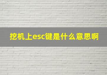 挖机上esc键是什么意思啊