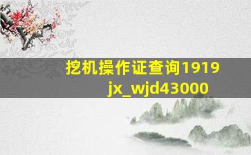 挖机操作证查询1919jx_wjd43000