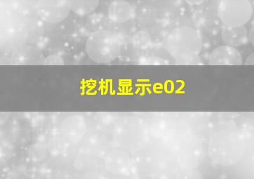 挖机显示e02