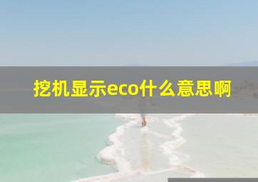 挖机显示eco什么意思啊