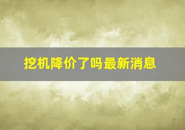 挖机降价了吗最新消息