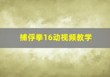 捕俘拳16动视频教学