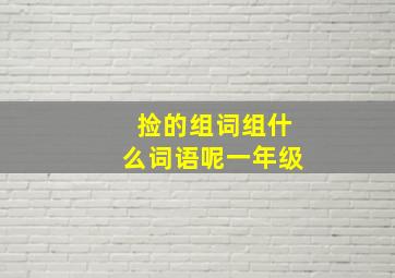 捡的组词组什么词语呢一年级