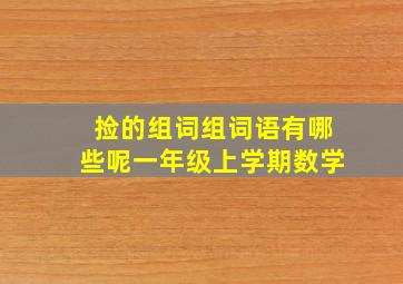 捡的组词组词语有哪些呢一年级上学期数学