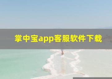 掌中宝app客服软件下载