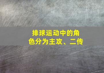 排球运动中的角色分为主攻、二传