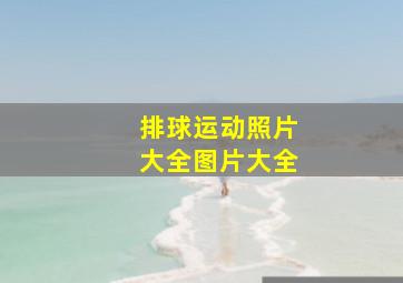 排球运动照片大全图片大全