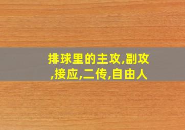 排球里的主攻,副攻,接应,二传,自由人