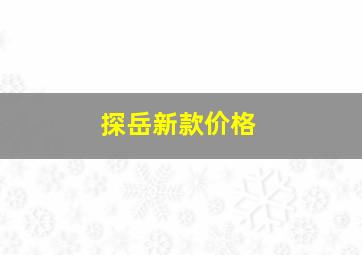 探岳新款价格