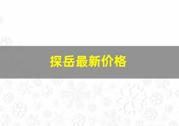 探岳最新价格