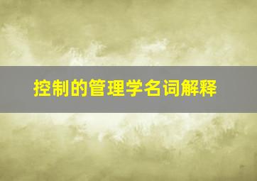 控制的管理学名词解释