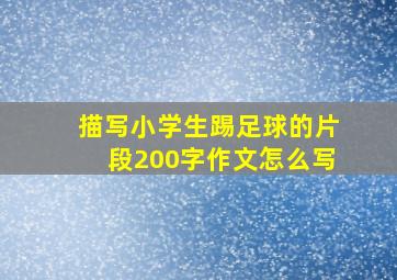 描写小学生踢足球的片段200字作文怎么写