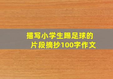 描写小学生踢足球的片段摘抄100字作文