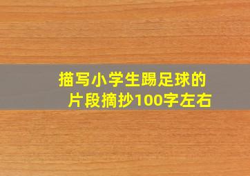 描写小学生踢足球的片段摘抄100字左右