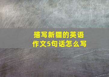 描写新疆的英语作文5句话怎么写