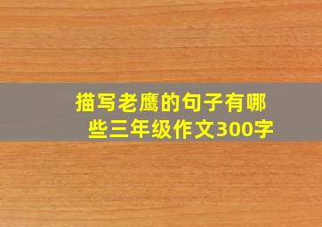 描写老鹰的句子有哪些三年级作文300字