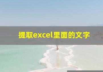 提取excel里面的文字