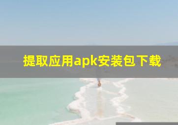 提取应用apk安装包下载