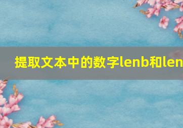 提取文本中的数字lenb和len