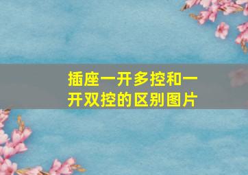 插座一开多控和一开双控的区别图片