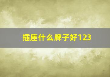 插座什么牌子好123