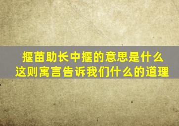 揠苗助长中揠的意思是什么这则寓言告诉我们什么的道理