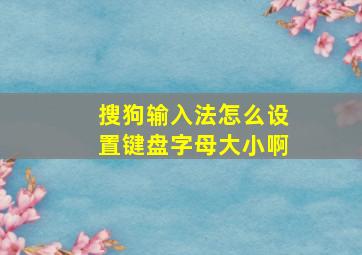 搜狗输入法怎么设置键盘字母大小啊