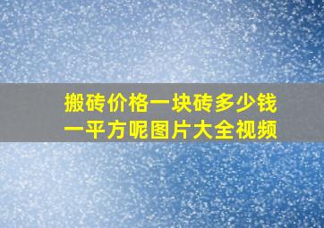 搬砖价格一块砖多少钱一平方呢图片大全视频