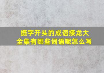 摄字开头的成语接龙大全集有哪些词语呢怎么写