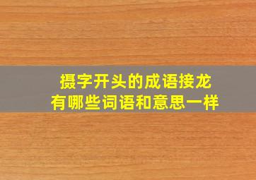 摄字开头的成语接龙有哪些词语和意思一样