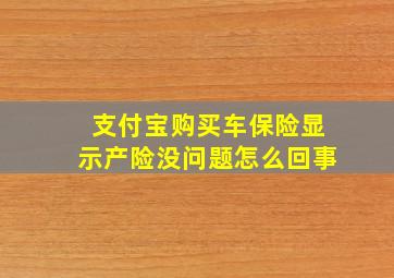 支付宝购买车保险显示产险没问题怎么回事