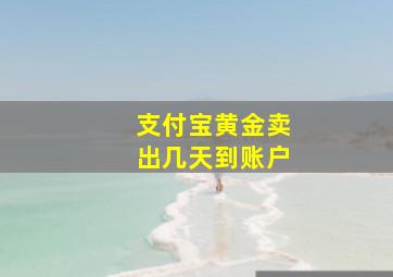 支付宝黄金卖出几天到账户