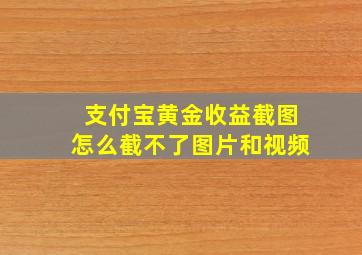 支付宝黄金收益截图怎么截不了图片和视频