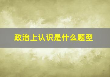 政治上认识是什么题型