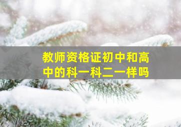 教师资格证初中和高中的科一科二一样吗